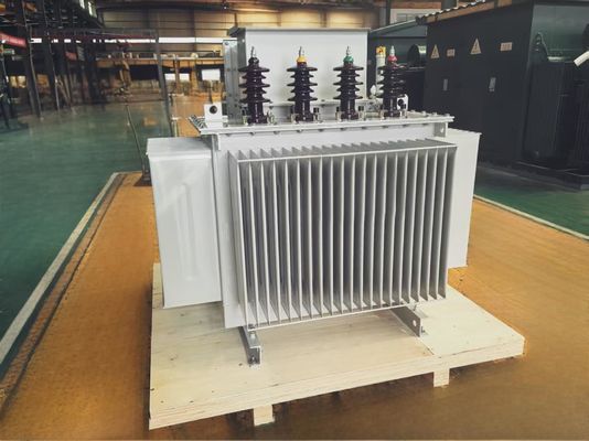 Transformador de potencia sumergido en aceite de 3 fases 750KVA ± 2x2,5% Rango de aprovechamiento para un suministro de energía estable y seguro