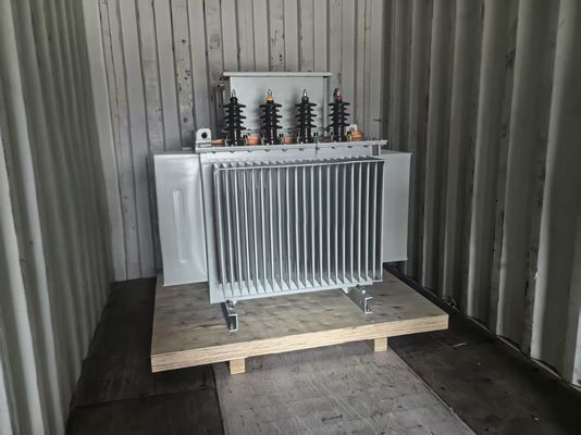 Transformador de distribución sumergido en aceite de clase de aislamiento de 750 KVA para una distribución de energía sin problemas