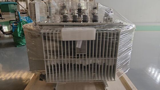 Transformador de potencia sumergido en aceite de 800 kVA con refrigeración ONAN y norma IEC60076 para distribución industrial