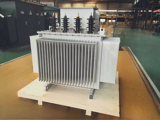 Transformador de potencia sumergido en aceite de 3 fases 750KVA ± 2x2,5% Rango de aprovechamiento para un suministro de energía estable y seguro